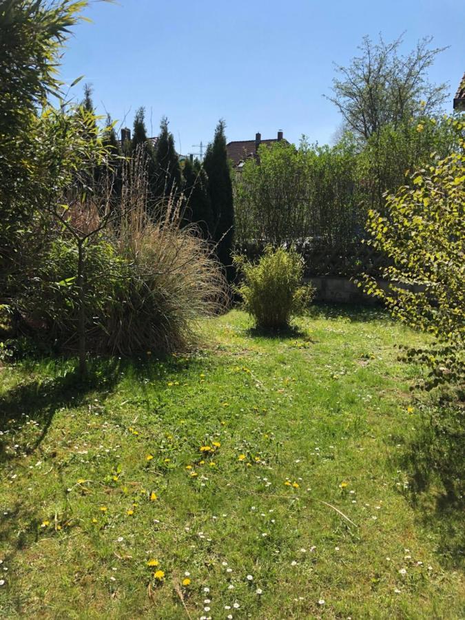 Sieben-Berge-Ferienwohnungen อัลเฟลด์ ภายนอก รูปภาพ